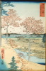 Default Thumbnail Image A