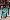 Default Thumbnail Image A