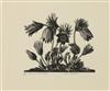 Default Thumbnail Image A