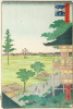 Default Thumbnail Image A