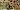 Default Thumbnail Image A