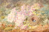Default Thumbnail Image A