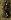Default Thumbnail Image A
