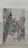 Default Thumbnail Image A