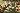 Default Thumbnail Image A