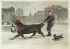 Default Thumbnail Image A