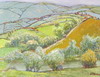 Default Thumbnail Image A