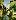 Default Thumbnail Image A