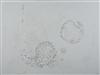 Default Thumbnail Image A