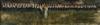 Default Thumbnail Image A