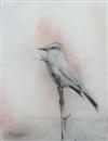 Default Thumbnail Image A