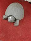 Default Thumbnail Image A