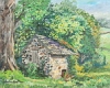 Default Thumbnail Image A