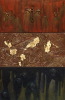 Default Thumbnail Image A