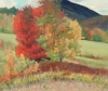 Default Thumbnail Image A