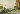 Default Thumbnail Image A