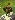 Default Thumbnail Image A