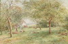 Default Thumbnail Image A