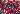 Default Thumbnail Image A