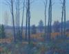 Default Thumbnail Image A