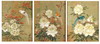 Default Thumbnail Image A