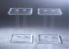 Default Thumbnail Image A