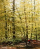Default Thumbnail Image A
