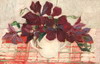 Default Thumbnail Image A