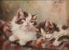 Default Thumbnail Image A