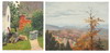 Default Thumbnail Image A