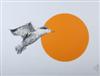 Default Thumbnail Image A