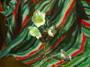 Default Thumbnail Image A