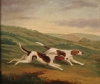 Default Thumbnail Image A