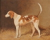 Default Thumbnail Image A