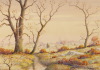 Default Thumbnail Image A