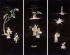 Default Thumbnail Image A