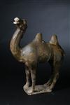 Default Thumbnail Image A