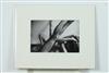 Default Thumbnail Image A