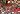 Default Thumbnail Image A