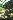 Default Thumbnail Image A