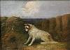 Default Thumbnail Image A