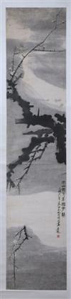 Default Thumbnail Image A