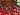 Default Thumbnail Image A