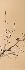 Default Thumbnail Image A
