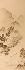 Default Thumbnail Image A