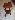 Default Thumbnail Image A
