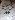Default Thumbnail Image A