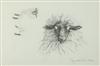 Default Thumbnail Image A