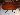 Default Thumbnail Image A
