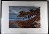 Default Thumbnail Image A